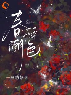 契约婚姻到期，沈先生他反悔了精彩章节免费试读 宋葭沈祈年小说结局无删节