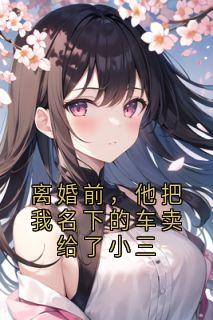 《离婚前，他把我名下的车卖给了小三》小说全文在线试读 陈浩林薇小说全文