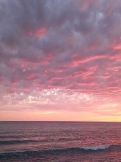 林栋徐雅by西北射天狼 陪妻子演戏十年，只为看她下场小说全本