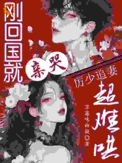 主角是林浅雾厉淮峥的小说 《刚回国就亲哭！厉少追妻超难哄》 全文免费阅读
