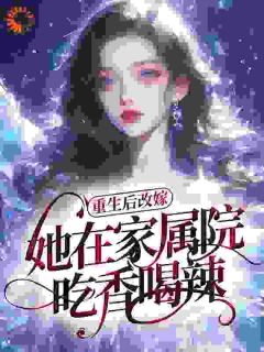 重生后改嫁，她在家属院吃香喝辣完整版小说在线阅读地址 主角叶柠贺延