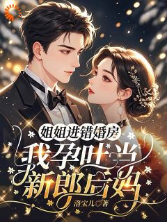 姐姐进错婚房，我孕吐当新郎后妈全文在线阅读 沈昭昭战北渊全本无弹窗