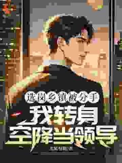 选岗乡镇被分手，我转身空降当领导陆鹏飞张倩小说 选岗乡镇被分手，我转身空降当领导小说章节