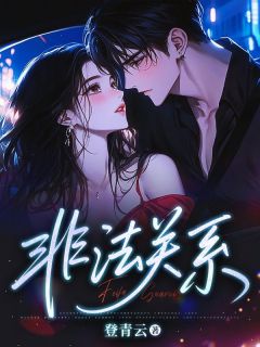 《非法关系》沈瑜宋长溟小说精彩内容免费试读