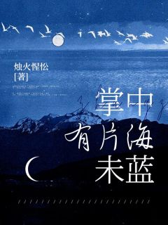 《掌中有片海未蓝》小说全文在线试读 《掌中有片海未蓝》最新章节目录