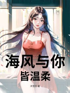 海风与你皆温柔孟晚晴陆浩泽 海风与你皆温柔全文阅读