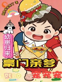 团团苏宣晚大结局在线阅读 幼崽归来，豪门亲爹宠宠宠免费阅读