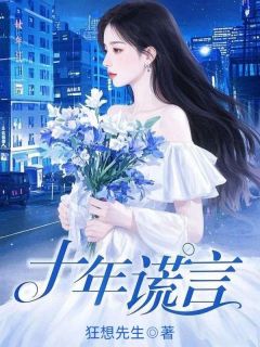 《十年谎言》林婉沈从君章节列表精彩试读