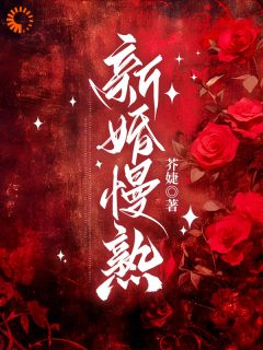 《与你慢慢成婚》完结版免费阅读 《与你慢慢成婚》最新章节列表