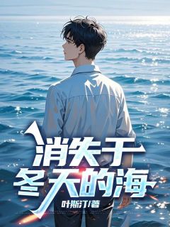 《消失于冬天的海》小说全文在线阅读 顾颂安夏滢陆迟瑾是什么小说