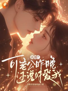 《离婚？可老公昨晚还说好爱我》沈岁和傅时晏章节免费试读