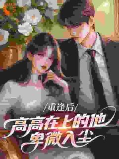 苏言季复临《重逢后，高高在上的他卑微入尘》全文及大结局精彩试读