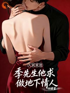 久别重逢，季先生他求做地下情人苏言季复临小说全部章节目录
