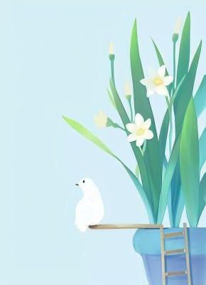 《一纸契约，我成了她的替身》小说完结版免费试读 林晓沈梦沈国华小说全文