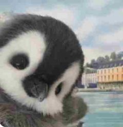 中奖一个亿，分我妈五百万，她却和我哭穷林婉晴小说 中奖一个亿，分我妈五百万，她却和我哭穷小说章节