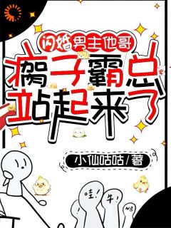 《闪婚男主他哥，瘸子霸总站起来了》小说全文免费阅读 江篱秦晏安小说阅读