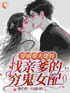 穿成带大佬娃找亲爹的穷鬼女配精彩章节免费试读 许清欢陆璟琛小说结局无删节