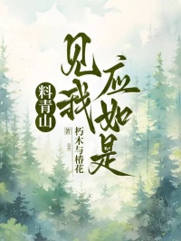 《料青山见我应如是》完结版在线试读 《料青山见我应如是》最新章节目录