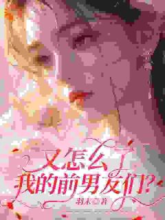 《又怎么了我的前男友们？》大结局精彩试读 《又怎么了我的前男友们？》最新章节目录