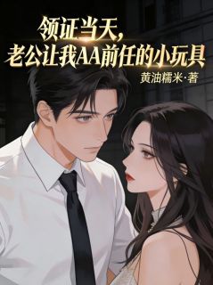 《领证当天，老公让我AA前任的小玩具》(苟建)小说阅读by黄油糯米