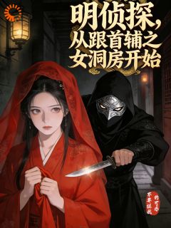 明侦探，从跟首辅之女洞房开始
