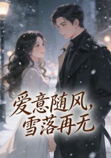《爱意随风，雪落再无》小说完结版精彩试读 沈青宋晚沈致小说阅读