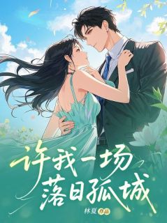 《许我一场落日孤城》小说完结版在线阅读 林清然沈遇小说阅读