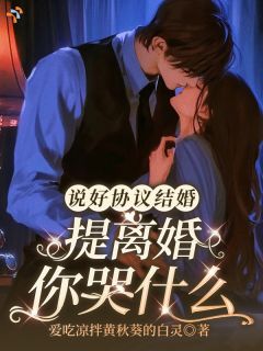 《说好协议结婚，提离婚你哭什么》小说章节列表免费阅读 林见溪周京鹤小说阅读