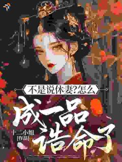 他把温柔藏进算计，只为护我周全