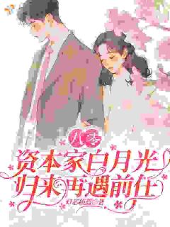 八零：资本家白月光归来再遇前任