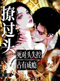 撩过头，死对头失控占有成瘾