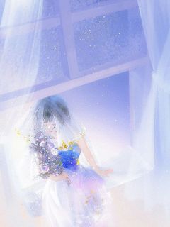 《岁月偏长，深情不寿》小说章节目录免费阅读 陆泽苏安安小说全文