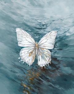 重生后，我回到才艺展示当天