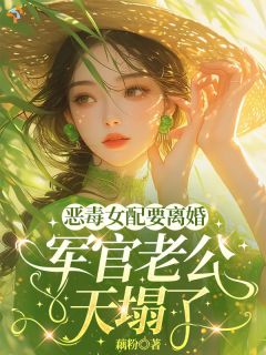 《恶毒女配要离婚，军官老公天塌了》小说完结版在线试读 林晚星顾言琛小说全文