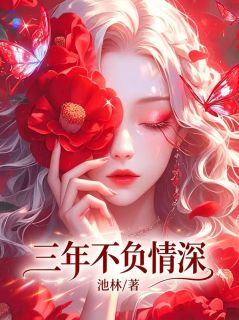 三年不负情深完整小说目录在线阅读 (沈恒澍程清音) 大结局无弹窗