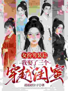 赐婚？我女扮男装怎么娶