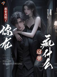 《都要离婚了，你在这里疯什么？》大结局在线阅读 姜绵秦渡是什么小说