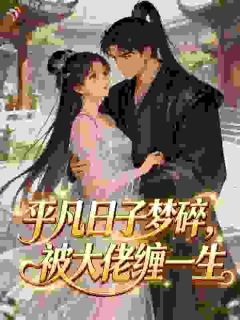 平凡日子梦碎，被大佬缠一生