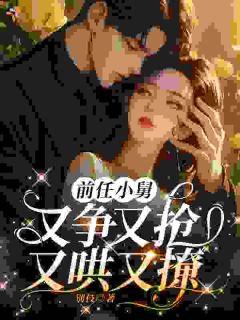 前任小舅，又争又抢，又哄又撩