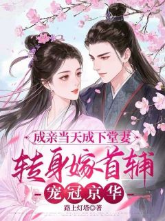 成亲当天成下堂妻，转身嫁首辅宠冠京华