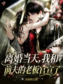 离婚当天，我和前夫的老板官宣了