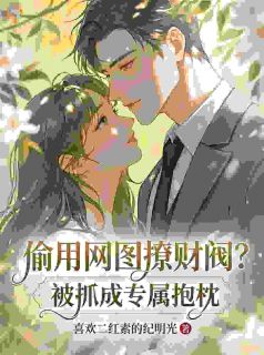 偷用网图撩财阀？被抓成专属抱枕