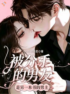 被分手的男友是另一本书男主
