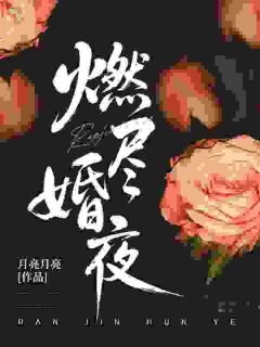 燃尽婚夜