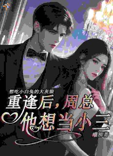 重逢后，周总他想当小三