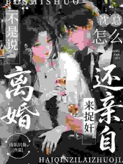 不是说离婚，沈总怎么还亲自来捉奸裴晚沈厉珩免费阅读 不是说离婚，沈总怎么还亲自来捉奸南佑只鱼