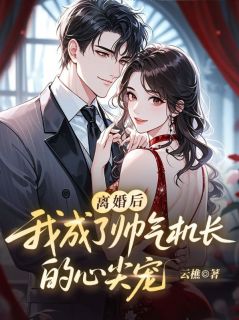 离婚后，我成了帅气机长的心尖宠