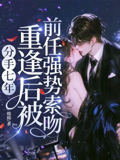 《分手七年，重逢后被前任强势索吻》小说章节目录免费阅读 宋天星沈砚舟小说全文