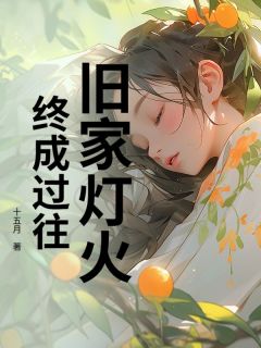 《旧家灯火，终成过往》小说在线试读 《旧家灯火，终成过往》最新章节目录