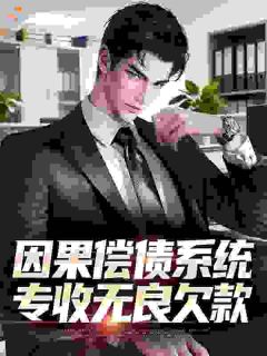 因果偿债系统，专收无良欠款